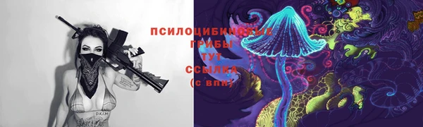 трава Медвежьегорск