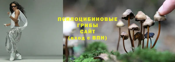 метадон Медногорск