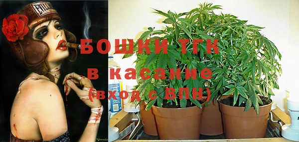 трава Медвежьегорск
