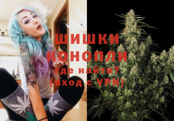 трава Медвежьегорск