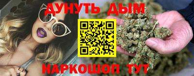 мяу мяу мука Гатчина