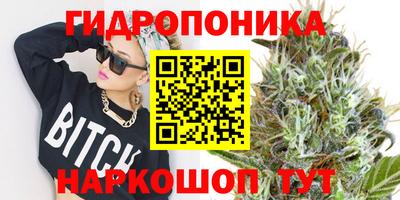 PSILOCYBIN Гагарин