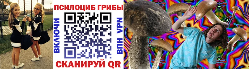 Псилоцибиновые грибы Cubensis  купить   Тихорецк 