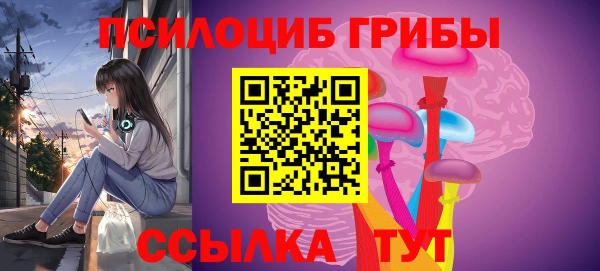 Галлюциногенные грибы Cubensis Тихорецк